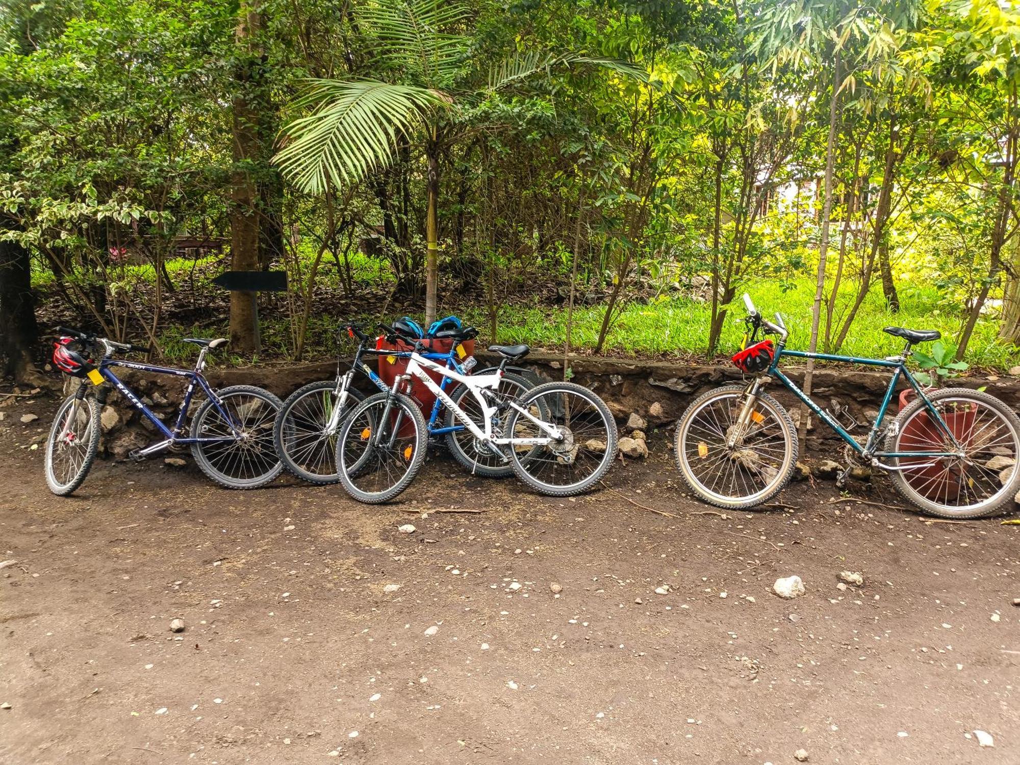 Shamba Hostel Usa River Ngoại thất bức ảnh