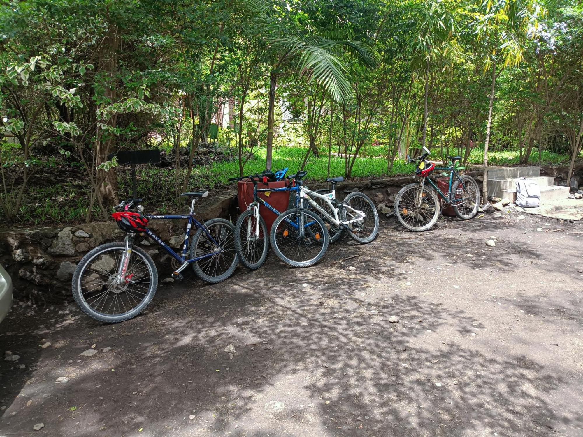 Shamba Hostel Usa River Ngoại thất bức ảnh