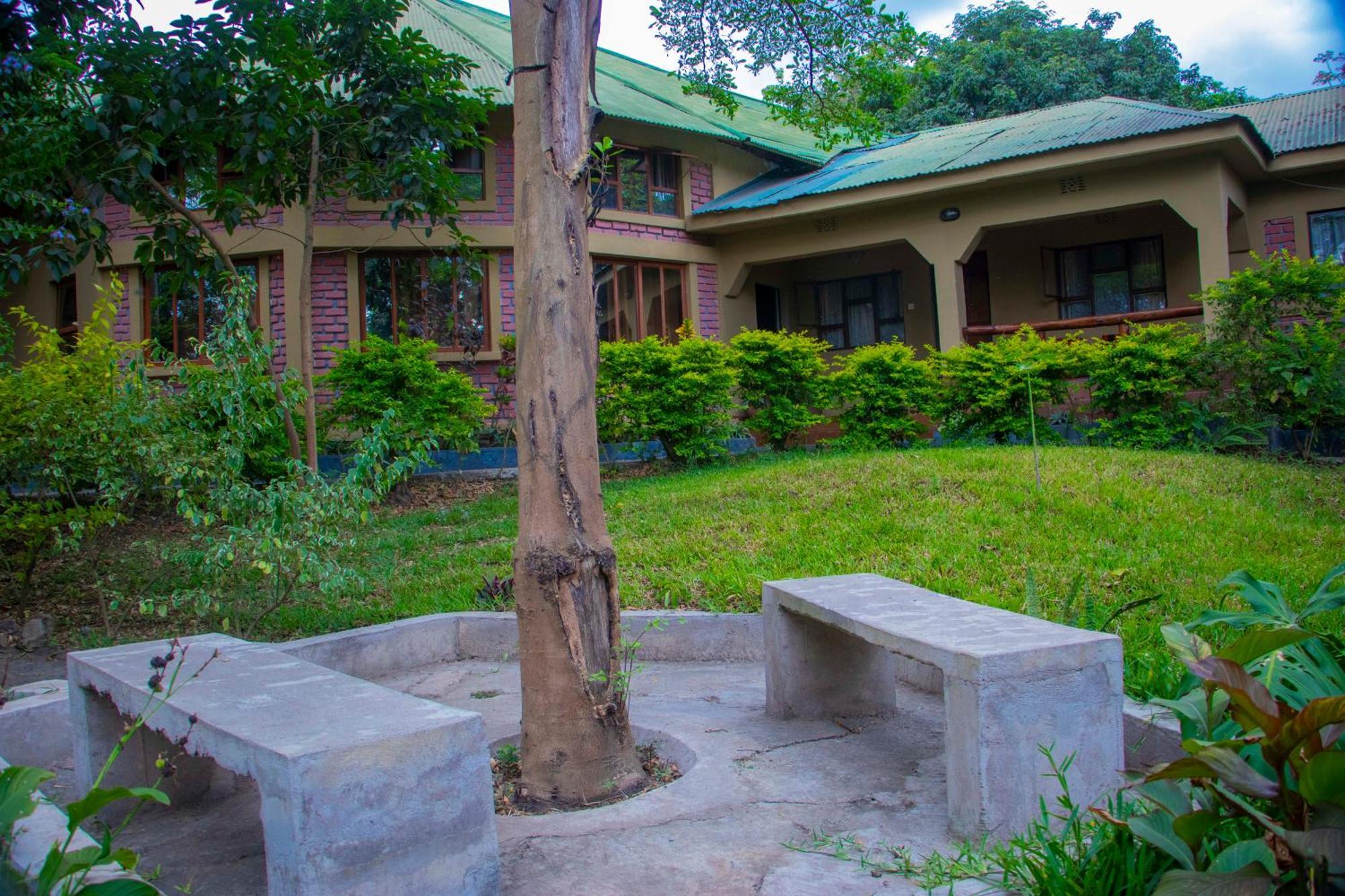 Shamba Hostel Usa River Ngoại thất bức ảnh