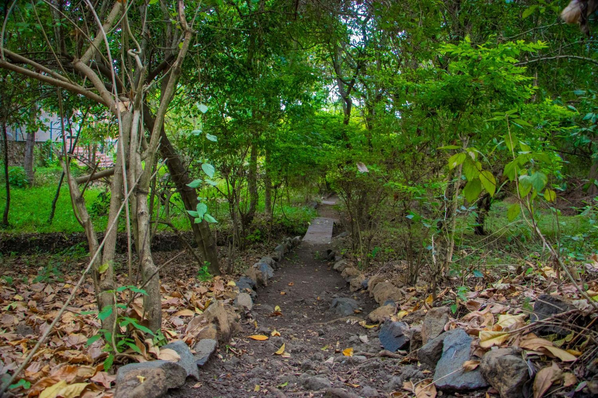 Shamba Hostel Usa River Ngoại thất bức ảnh