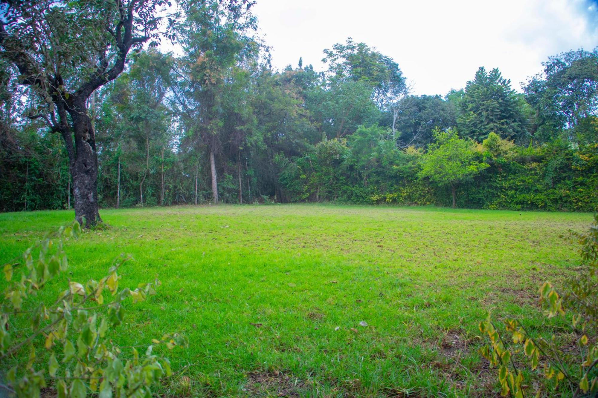 Shamba Hostel Usa River Ngoại thất bức ảnh