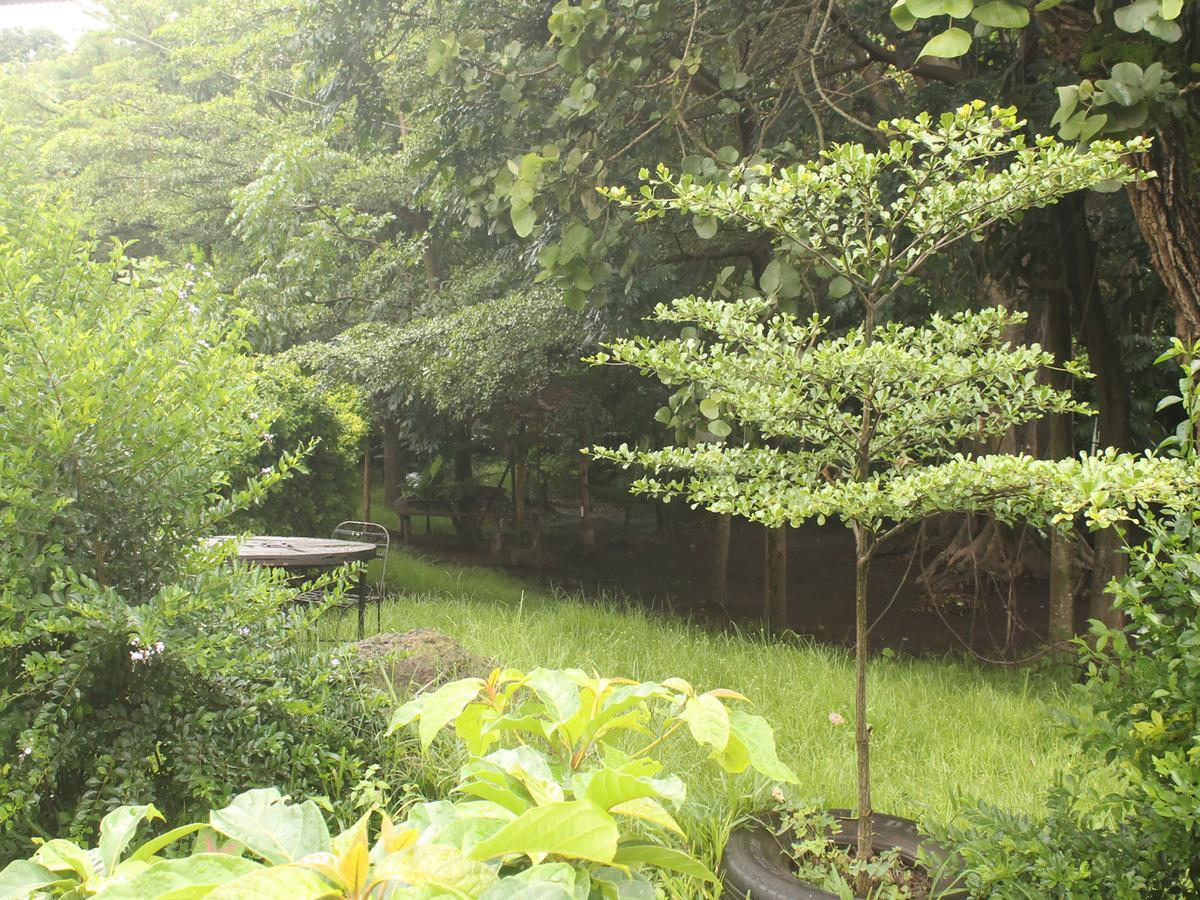 Shamba Hostel Usa River Ngoại thất bức ảnh