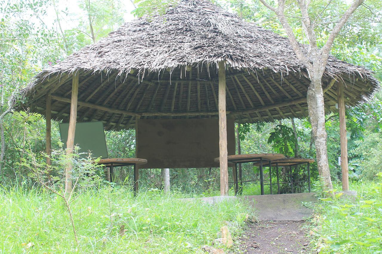 Shamba Hostel Usa River Ngoại thất bức ảnh