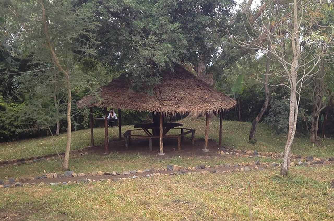 Shamba Hostel Usa River Ngoại thất bức ảnh