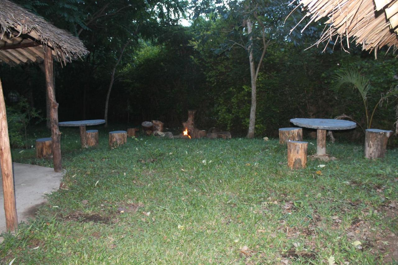 Shamba Hostel Usa River Ngoại thất bức ảnh